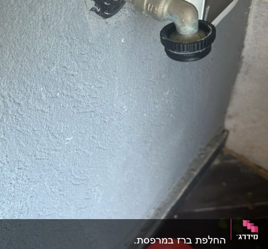 ברז מים עם ידית ורודה ודלי אדום